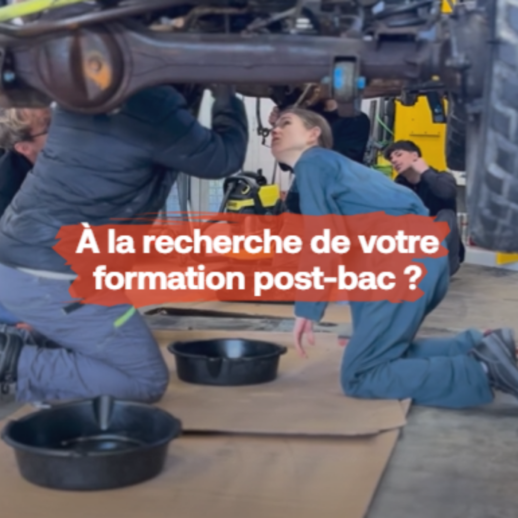 Elèves lors d’un exercice pratique en atelier.